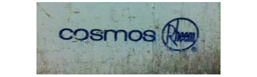 Cosmos Rheems